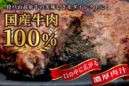 国産 牛肉 100%使用！ ハンバーグ レンジ可 湯煎 加熱済 4個 個包装 100ｇ 国産牛 牛 着色料 保存料 化学調味料 不使用 牛肉ハンバーグ 肉 肉汁 -094