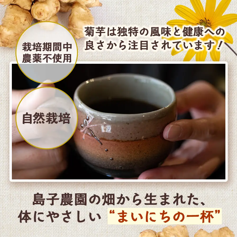 白色菊芋焙煎 パウダー （40g×1袋）SK-3｜ コーヒー 菊芋 パウダー ノンカフェイン 野菜茶 きくいも お茶 焙煎 ギフト グルメ お取り寄せ 鹿児島県 南大隅町 島子農園