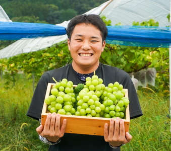 世羅町産 シャインマスカット1kg(2～3房)【ご家庭用･先行予約】数量限定 空の雫 シャイン マスカット ぶどう 葡萄 ブドウ フルーツ 果物 くだもの 産地直送 世羅 世羅産 サンワファーム 【2026年10月上旬以降順次発送】  A025-03