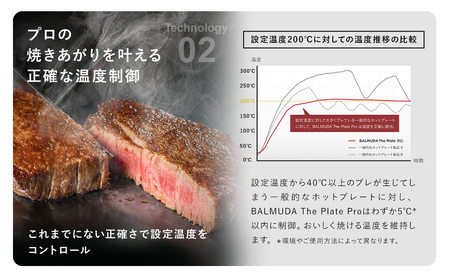 バルミューダ BALMUDA The Plate Proブラック K10A-BK／JP ｜ BALMUDA バルミューダ ザ・プレート プロ ホットプレート 家電 おしゃれ リビング キッチン シンプル ライブキッチン 電気 グリル 大型 調理家電  【7営業日以内発送】