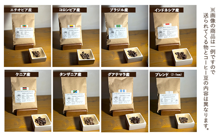787 Nanohana Coffee Roaster ７種お任せセット 各50g(豆or粉) 浅煎り 中煎り 深煎り  コーヒー 珈琲 おすすめ 人気 豆