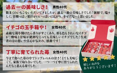 【いちご】3ヶ月定期便 やよいひめ いちご 800g×3回 2027年 先行予約 群馬県 前橋市