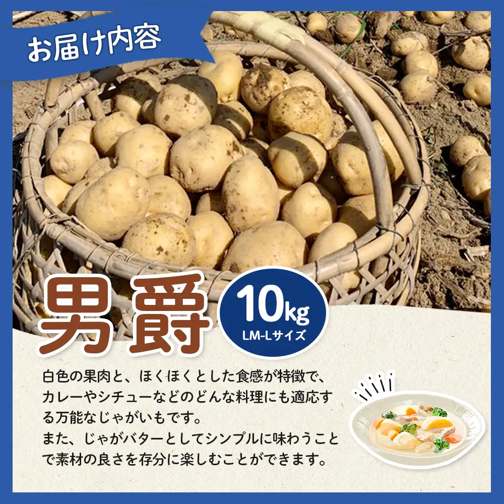 【新じゃが先行受付！】多田農園の北海道安心ラベル「Yes!clean」認証　男爵10kg（LM-Lサイズ）【5100401】