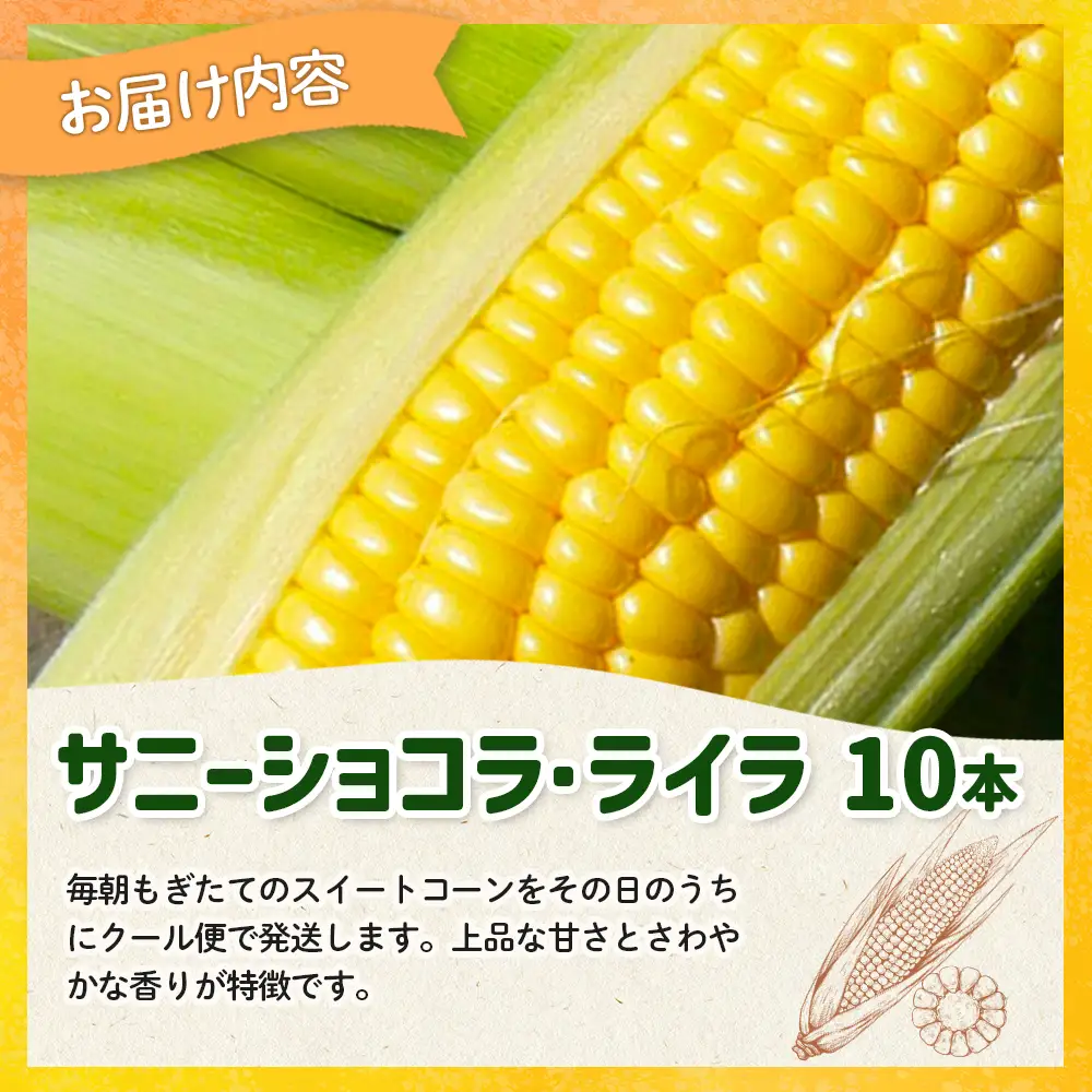 【とうもろこし数量限定先行受付！】多田農園のとうもろこし　サニーショコラ・ライラ10本【5100501】