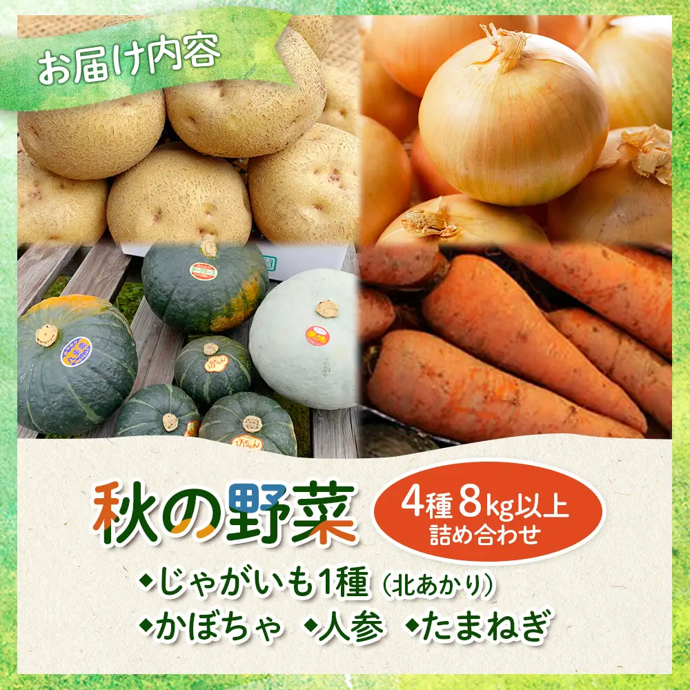 【数量限定先行受付！】多田農園の秋の野菜4種8kg以上詰め合わせ（北あかり）【5100901】