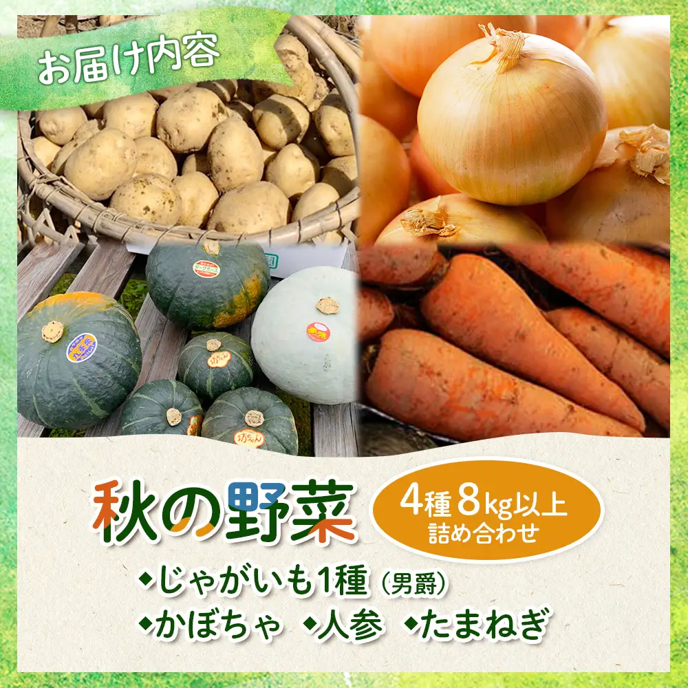 【数量限定先行受付！】多田農園の秋の野菜4種8kg以上詰め合わせ（男爵）【5101001】