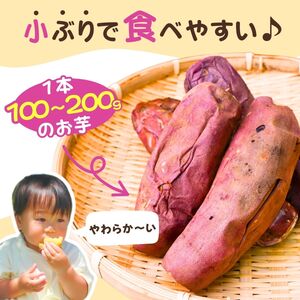 【定期便12 回】【訳あり】ゆうゆう農園の焼き芋 冷凍 2kg | 焼き芋 定期便