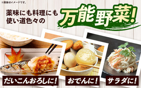 【きあり農園】2026年度 幸手市産 大根 10kg - 朝採れ ダイコン だいこん 産地直送 野菜 ベジタブル 美味しい おいしい 煮物 鍋 おでん おすすめ 送料無料 埼玉県 幸手市