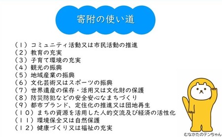【返礼品なし】宗像市ふるさと応援寄附 100,000円_HA1800