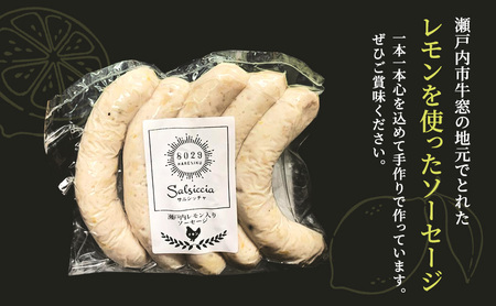 ソーセージ 瀬戸内レモンソーセージ 干し肉160g 詰め合わせ