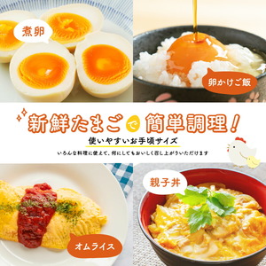 世羅高原たまご 小玉白 108個(100個＋破卵保障8個入り) 津口ファーム たまご 玉子 生卵 鶏卵 卵 卵かけご飯 TKG ゆでたまご 世羅 A015-01