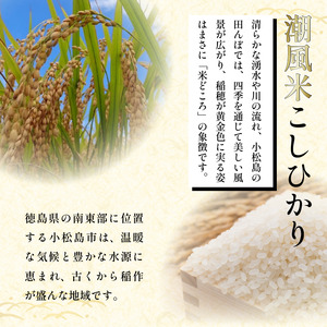 こしひかり 5kg 玄米 令和7年産 潮風米 ご飯 おにぎり ごはん お弁当 ギフト 贈答 プレゼント お取り寄せ グルメ 保存 防災 備蓄 送料無料 徳島 小松島