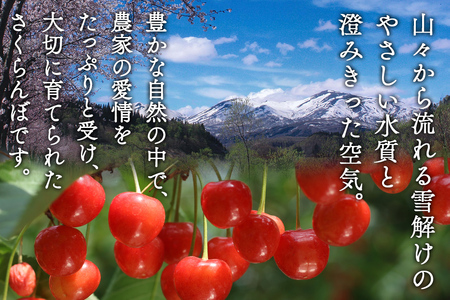 FYN6-524 ≪2026年先行予約≫山形県産 さくらんぼ 品種おまかせ(佐藤錦・紅秀峰など) 400g 秀/L以上 バラパック詰め 2026年6月中旬頃より発送 果物 くだもの フルーツ 夏果実 サクランボ チェリー 桜桃 高級 化粧箱 ギフト箱 贈り物 贈答 ギフト プレゼント 自宅 家庭 産地直送 山形県 西川町 月山