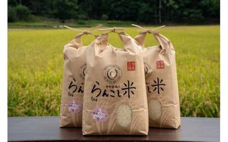【令和7年産】有機JAS転換期間中有機農産物 らんこし産 ゆめぴりか 5kg（中村農場）お米 米 精米 【2025年10月上旬～2026年7月下旬発送予定】