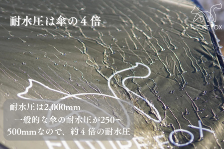 FUTURE FOX FOX-TARP［FF10］ // 自立式タープ タープテント フューチャーフォックス