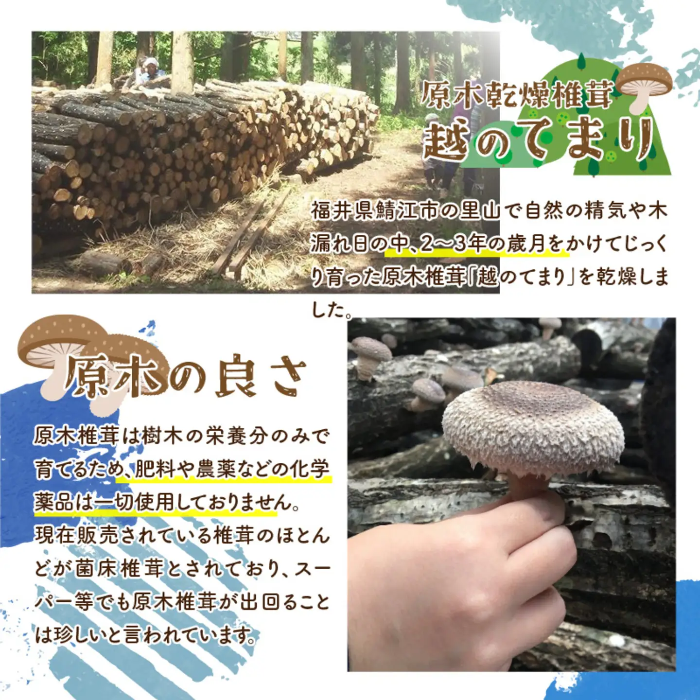 農家がつくったFARMER'sCURRY 200ｇ(1袋）×5袋