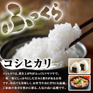 【A95001】令和7年産 鹿児島県産 コシヒカリ (5kg) 国産 自家精米 精米 白米 こしひかり 単一米 ごはん ご飯 お米 コメ こめ 【山下商店】