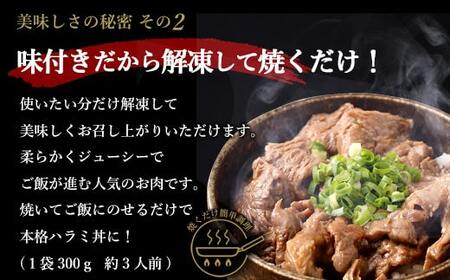 【隔月6回定期便】やわらか 牛ハラミ（サガリ）肉 極旨秘伝醤油タレ漬け600g（300g×2袋）×隔月6回 訳あり ハラミ 牛肉 個包装 焼肉 BS-851