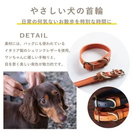 首輪 本革 イタリアンレザー オレンジ 小型犬用 (26-32センチ)ペット用品【dc-01ss】【1663106】