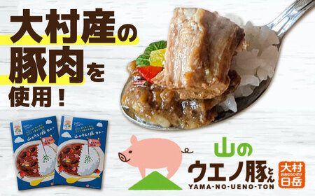 山のウエノ豚カレー・缶詰 詰め合わせ/ おつまみ レトルトカレー トマト煮/ 大村市 / 株式会社上野養豚 [ACBH006]