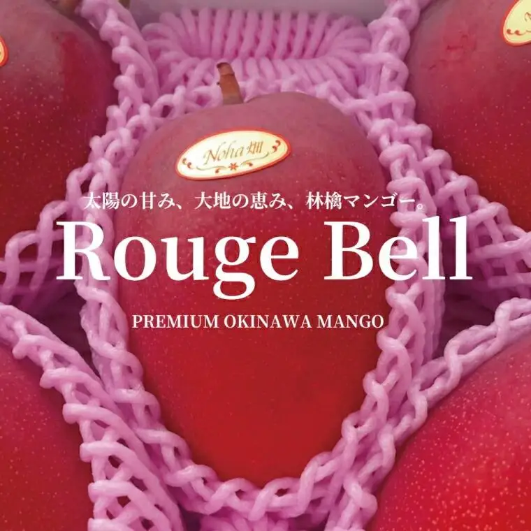 【Rouge Bell】アップルマンゴー 約800g以上(2玉) 