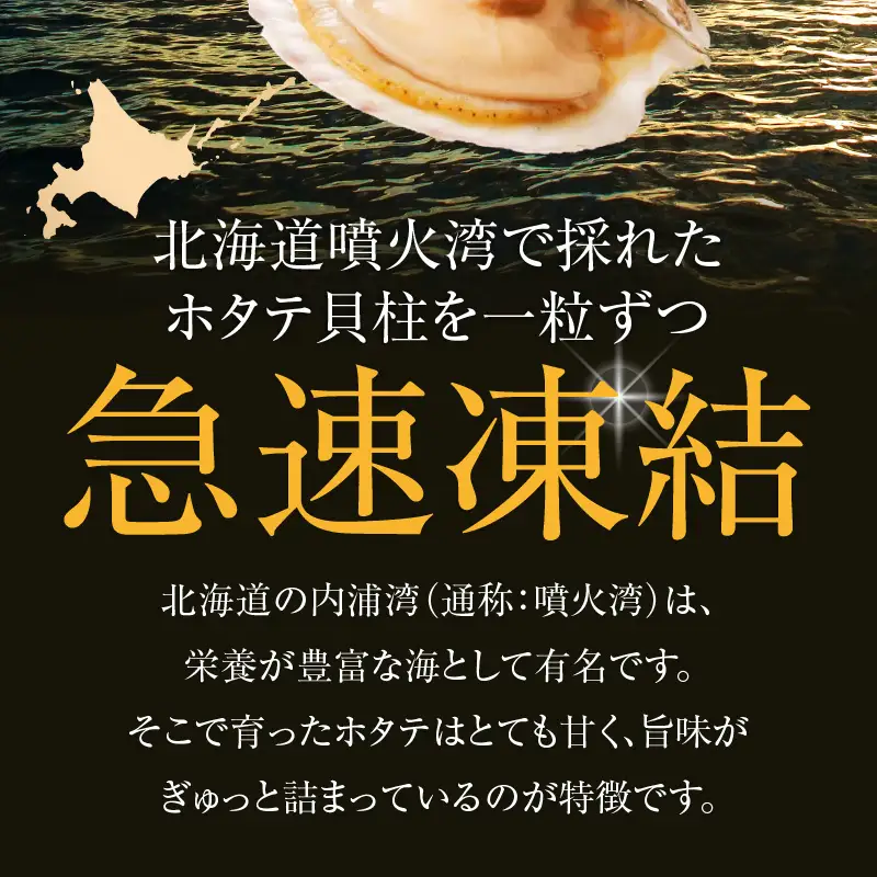 訳あり 北海道 噴火湾産 ホタテ 貝柱 500g × 1袋 _HD117-043