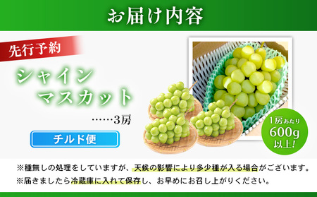 【先行予約】《2026年9月下旬～11月下旬出荷》 宮城県丸森町産 シャインマスカット　3房(1房 600g以上)　【48006】