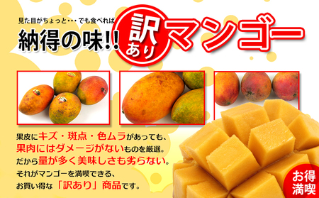 マンゴー【2026年発送】訳あり品！！大宜味村産マンゴー【約2kg・白箱】