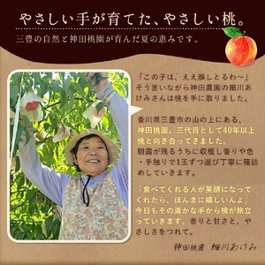 【ふるさと納税】 桃 産地直送 「神田桃園の愛実の桃」 約2kg（6～8玉） [ フルーツ 名産品 桃 もも モモ 赤い桃 果物 くだもの お取り寄せグルメ 三豊市 20000 20, 返礼品 神田桃園 ] ※配送不可地域：北海道・沖縄県・離島