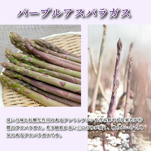 アスパラガス2種セット 合計1kg(グリーンアスパラガス 600g･パープルアスパラガス 400g)【7月までの期間限定】アスパラ 野菜 産地直送 新鮮 世羅 A039-01