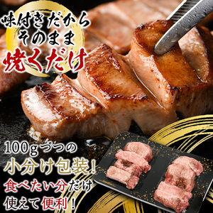 ＜定期便・全3回 (4か月ごとの発送)＞厚切り 塩味 牛タン (総量1.2kg) 定期便 小分け 牛肉 肉 タン 牛たん 味付け 焼肉 塩 BBQ 冷凍 大分県 佐伯市【DH315】【ネクサ】