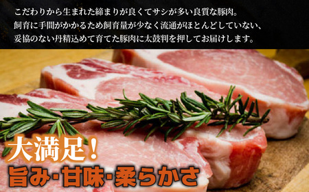 河北潟ポーク 生姜焼き & テキカツセット 約1kg | 豚肉 ブランド豚