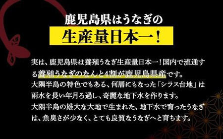 【定期便全3回】 鹿児島県 大隅産 千歳鰻 白焼き 3尾・ 蒲焼 3尾 （1尾110g～130g）| 白焼き