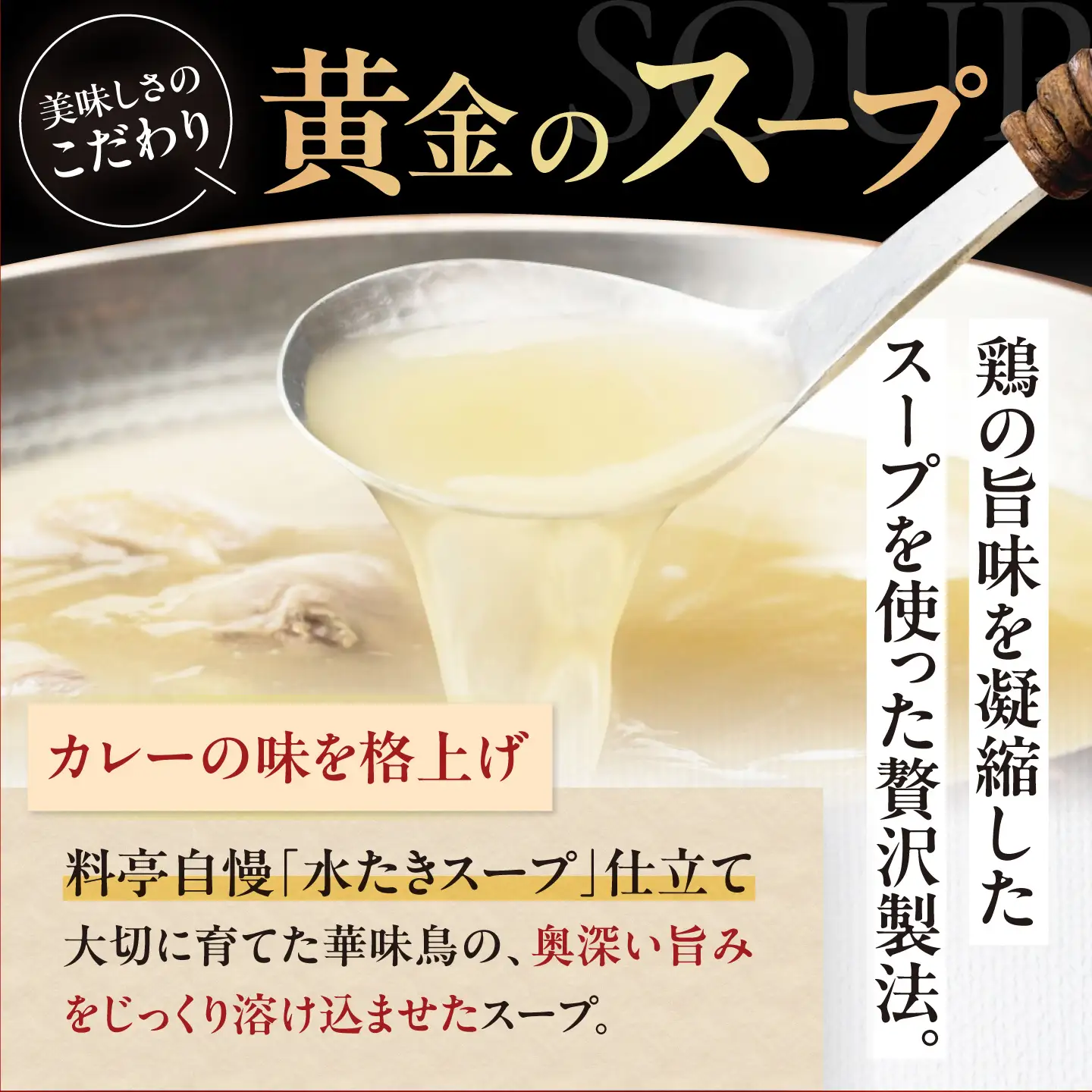 【カレー】チキン カレーセット 10食 [AGDT008] 