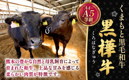 くまもと黒毛和牛 黒樺牛 A4〜A5等級 ローススライス すき焼き用 約500g 黒毛和牛ローススライス[AYBJ005]