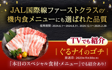 【ブランド牛＆ブランド豚の焼肉食べ比べ】諫美牛 上カルビ 300g ＆ 黒豚諫美豚プレミアム100 バラ肉 300g / カルビ 牛肉 食べ比べ A5 焼肉 豚バラ スライス ぶた ばらすらいす 小分け 肉 薄切り / 諫早市 / 株式会社土井農場[AHAD103]