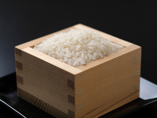 吉野ひのひかり5kg×2袋《川本米穀店》
