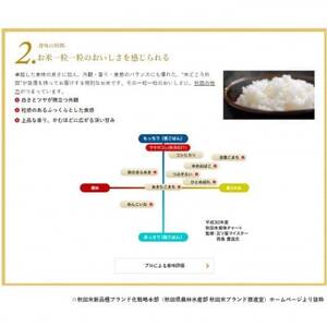 【毎月定期便】秋田県産　サキホコレ　1等　玄米30kg全3回【配送不可地域：離島・沖縄県】【4072859】