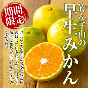 【先行予約】 いずみ産 竹ん子山 早生みかん 約5kg 【イーサイドライン】 i1178