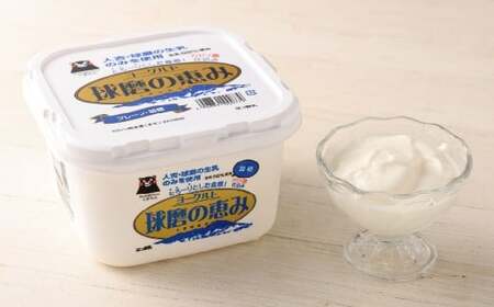 球磨の恵み「A2牛乳」と「球磨の恵みヨーグルト（加糖）｣ セット 生乳 乳製品 カゼイ菌 ぎゅうにゅう ミルク 