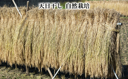 【令和8年産】 天日干しの手間をかけた (はえぬき) 丹野さん家のコメ 精米 1kg FY25-333