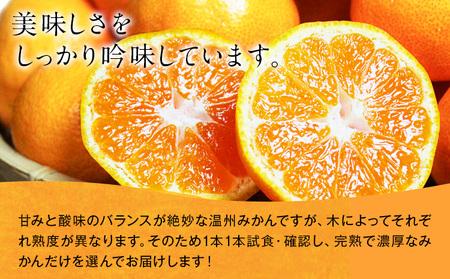 みかん 濃厚完熟 小玉みかん 約5kg