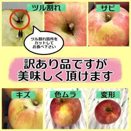 (2026年産予約)【青森市産　完熟葉とらずふじ・王林】約3kg 8～12玉(家庭用)【1181967】