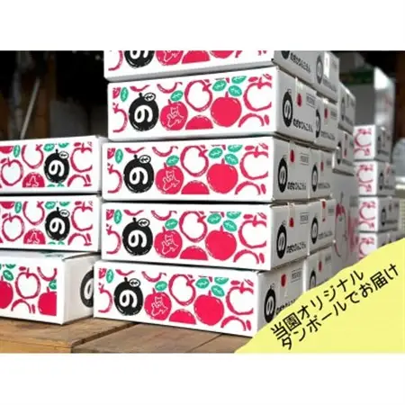 (2026年産予約)当園人気第1位!!【青森市産・完熟葉とらずふじ】約3kg　8～12玉　(家庭用)【1181968】