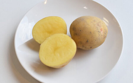 【先行予約：2026年6月頃より順次発送】和らぎ農法 春じゃが便 2.5kg （栽培期間中、農薬・化学肥料・動物性堆肥不使用）/ じゃがいも 食べ比べ 詰め合わせ セット 新鮮 野菜 / 滋賀県 栗東市 / ワダケン リアルソイルハウス[BIBM016]