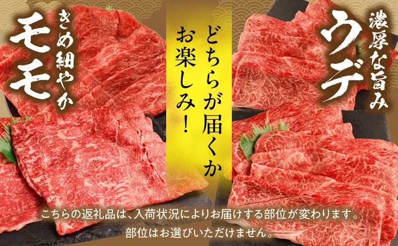 【6回定期便】宮崎牛 モモ or ウデ 赤身しゃぶすき用1kg 牛肉 肉 宮崎県産 黒毛和牛 国産牛 国産 すき焼き しゃぶしゃぶ しゃぶすき すきしゃぶ アウトドア キャンプ 料理 おかず