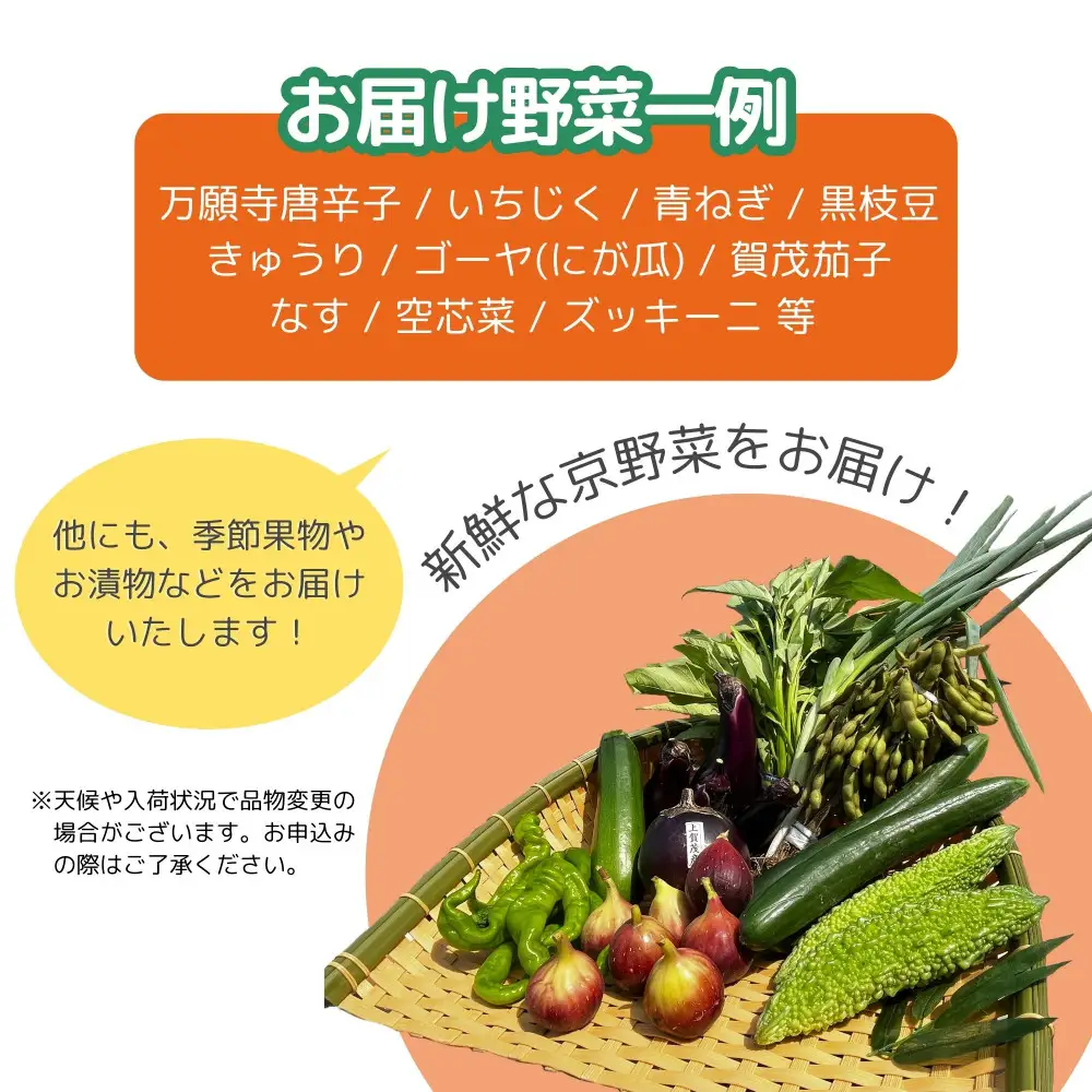 【エーコープ京都中央】おまかせ京野菜セット｜野菜 新鮮 人気 スタッフ厳選 詰め合わせ