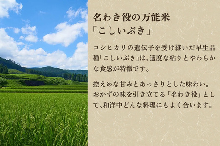 【令和7年産】「加茂市産コシヒカリ」と「新潟県産こしいぶき」食べ比べ 精米 各2kg（計4kg）