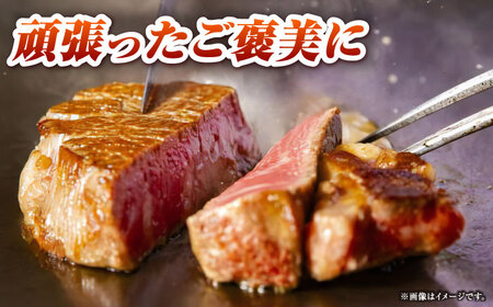 長崎和牛ヒレステーキ（150g×4枚）《壱岐市》【太陽商事】 肉 牛肉 和牛 ヒレ フィレ ヘレ ご褒美 ギフト 贈答用 ご褒美 冷凍配送 A4 A5[JDL130]