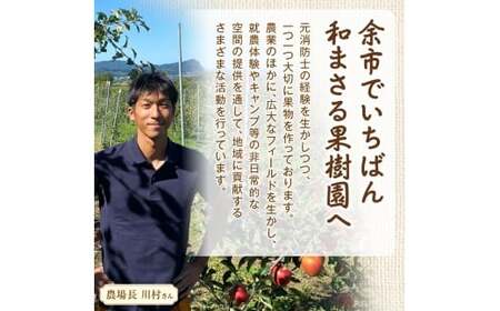 余市町 ナイアガラワイン 2023 750ml×1本 Verger Nobori 1976 辛口白ワイン 余市町登町 マスカットの香り ナイアガラ ワイン 白ワイン 北海道 送料無料_Y103-0030